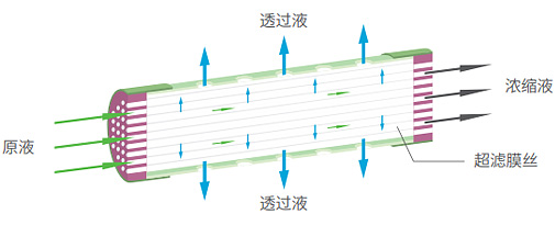 20230907163410_2159 首页|7790必发集团中国官方网站